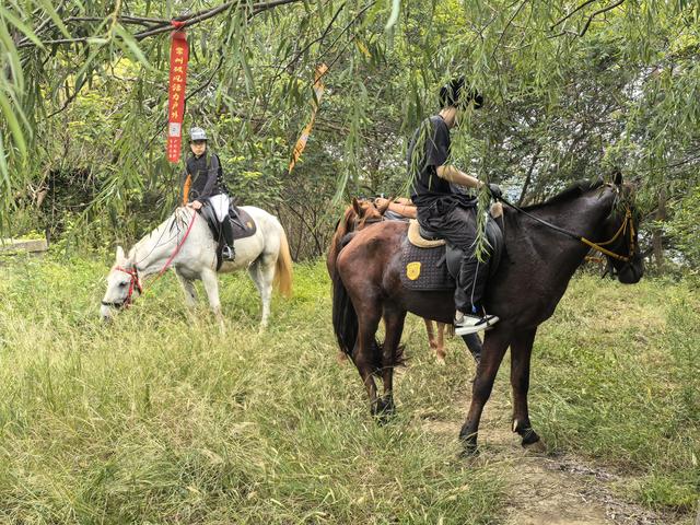 南京汤山龙尚湖青龙山佘村一日郊野徒步