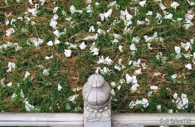 细赏王府系列之—雨中协和(49)《13》