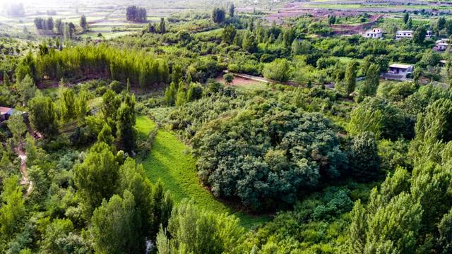 地名里的峄城：娘娘坟村