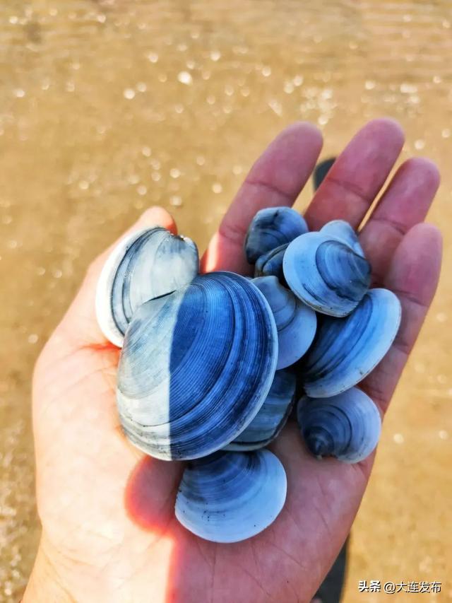 爽！大连洗海澡地图来了~