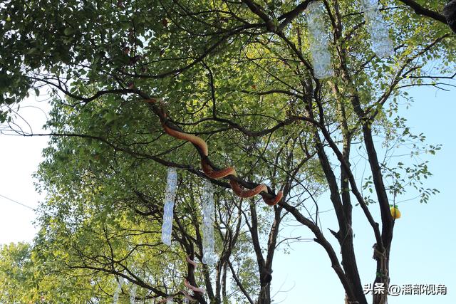 换个角度看永州体育场，这里已成为体育中心，文化中心和欢乐中心