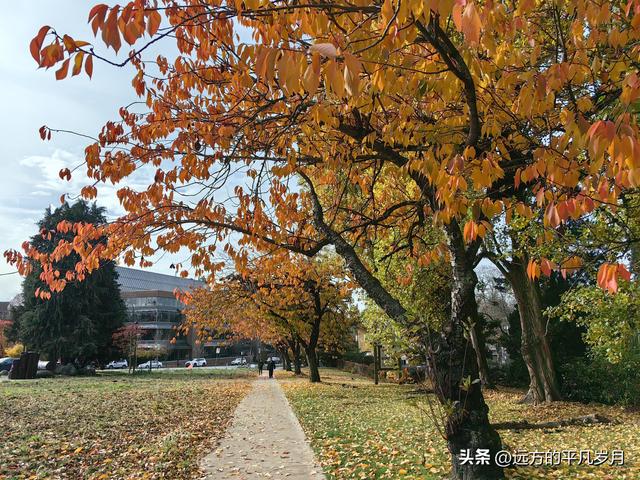 温哥华游记（五）