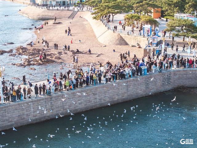 青岛冬日的海，是这座城市的浪漫注脚