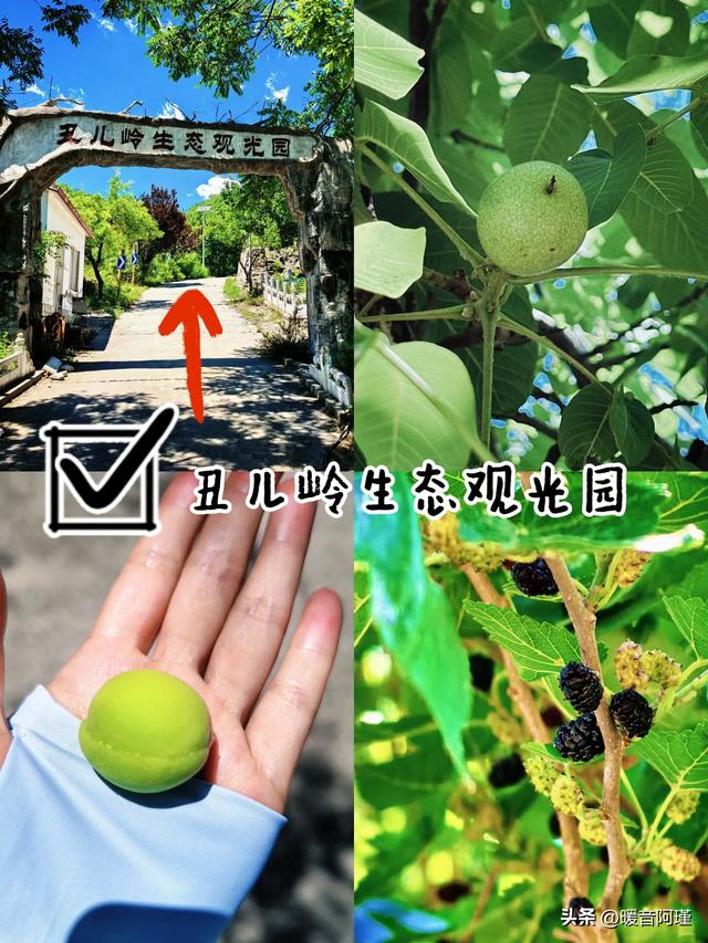 京西轻氧小环线！从琉璃窑火到山野果香