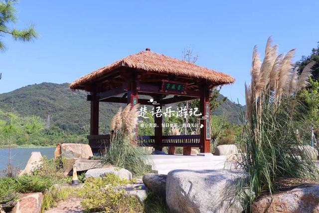 浙江绍兴少有人来的湖泊，景观步道被红杉掩映，平日秀丽秋色更美