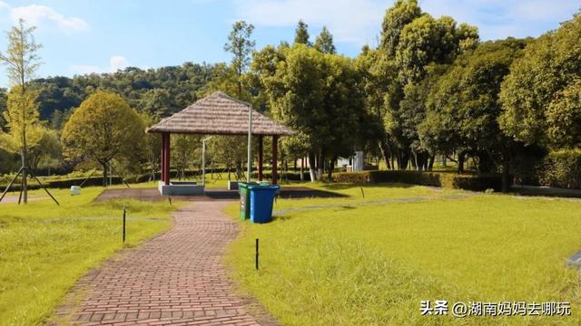 30分钟登顶！长沙私藏小众徒步路线，一站解锁遛娃顶“尖”玩法