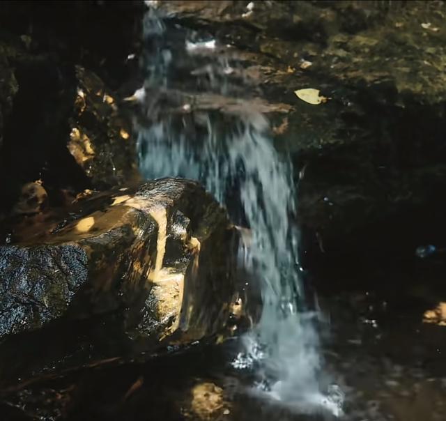 夏天的故事里，藏着多少成年人的“逃离计划”？