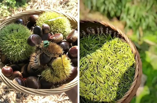 民宿一房难求！富阳有个“童话村”，美如仙境！