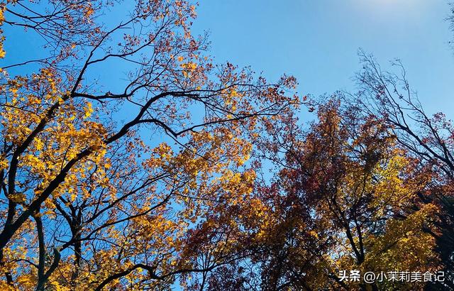 “白天立冬雪堵门，晚上立冬暖烘烘”，今年立冬在哪？早知早准备