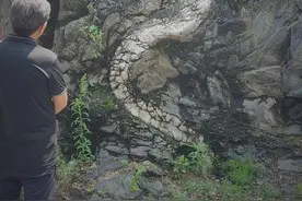 太像了！陕西洛南古城页山发现一条“石龙”图片