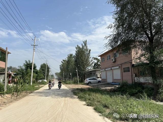 冠县乡韵·定远寨镇前杏园村