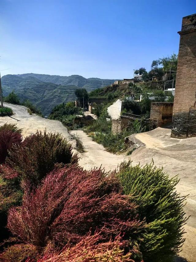 山西吕梁·临县尧昌里村