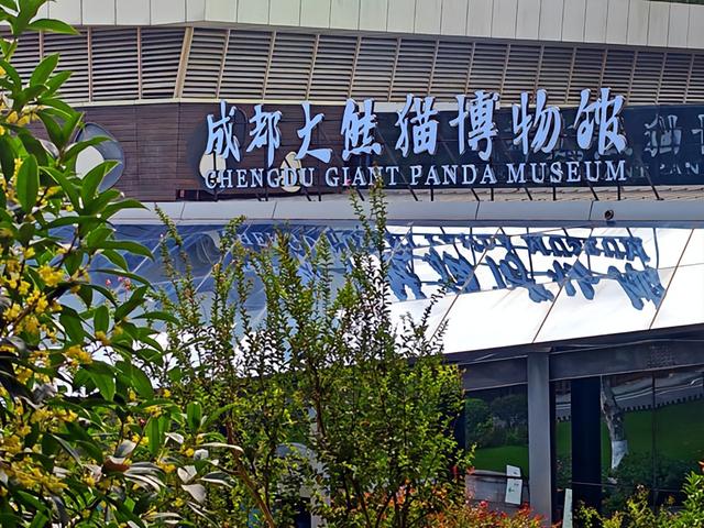 四川旅游：从熊猫基地到三星堆博物馆（图）
