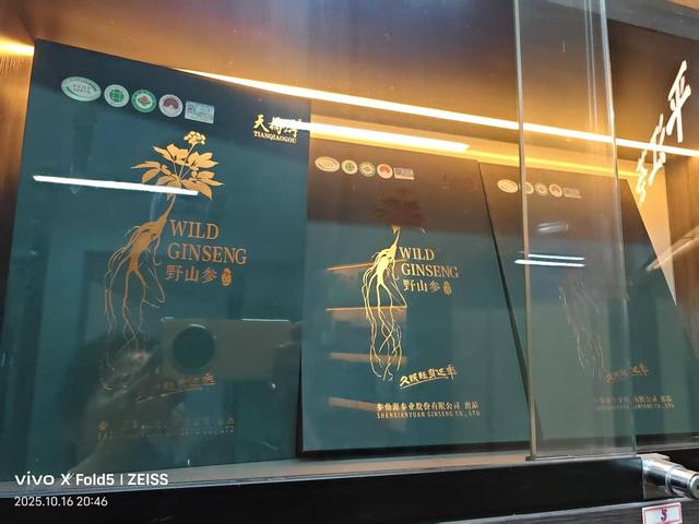 茶香与诗声交织的夜——走进苏州平江新城的文化秘境“平江荟”