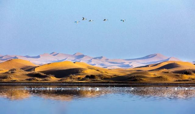 走进魅力北疆 遇见金色阿拉善