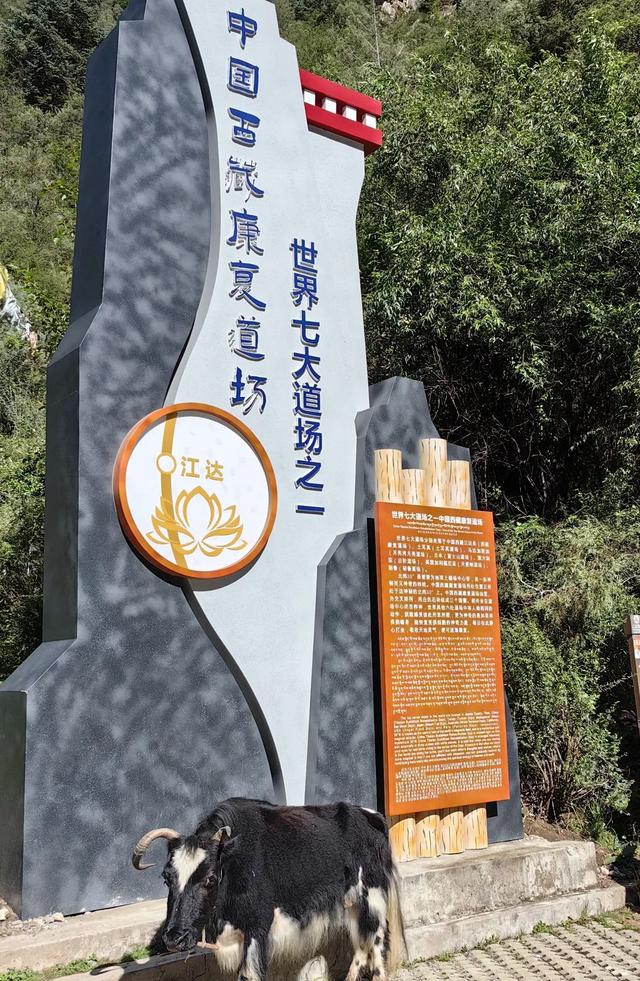 “奔八”老人驾车川藏路，穿越矮拉山，去看援藏的外孙女！