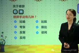 小学语文《阅读技巧指导》：第26集 修辞手法图片