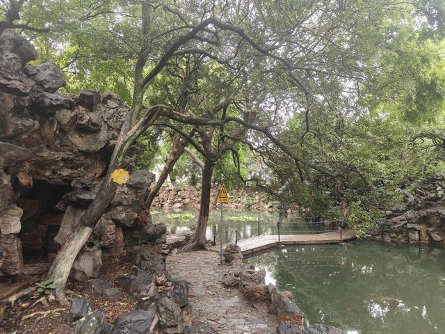 苏州城中的古旧园林，雨后漫出颓唐的情调！