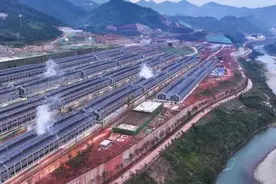 酱香酒10大酒厂排名，贵州独占5家，四川稳居第三，山东意外上榜图片