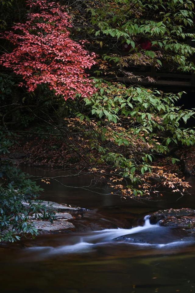 这里为何让摄影人着迷?去了才知道别有洞天