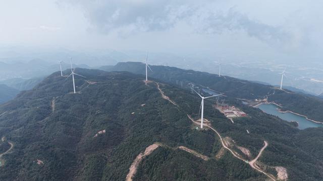 1062米轿子岭上摘野果！黄花岭风电公路太香了