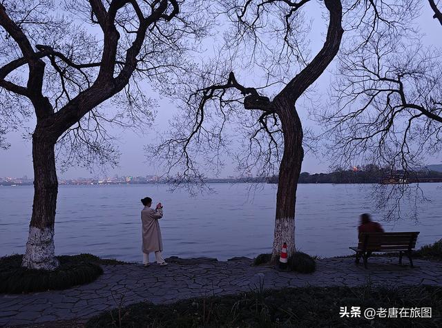 宾馆餐馆赚不到钱了，游客怎么“白嫖”成“零元游”的？
