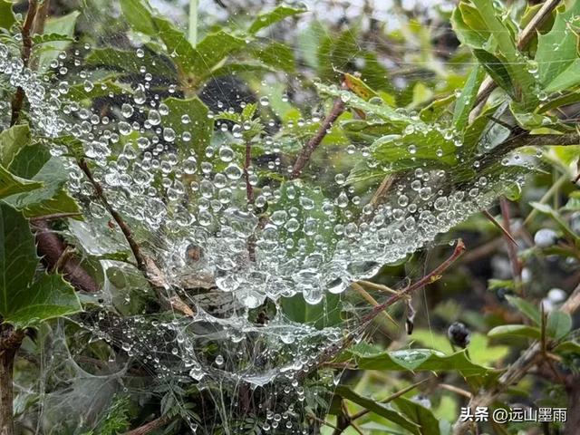 徒步石林蓑衣山、赏水上石林,遇降雨淅淅沥沥,收获特别的体验