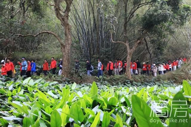 羚羊峡+鼎湖小布村，登山毅行趣游肇庆～