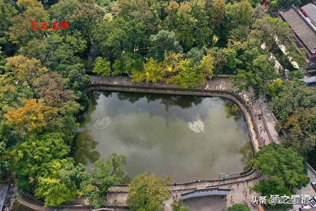 天童寺的高光时刻，禅意弥漫，东谷秋红