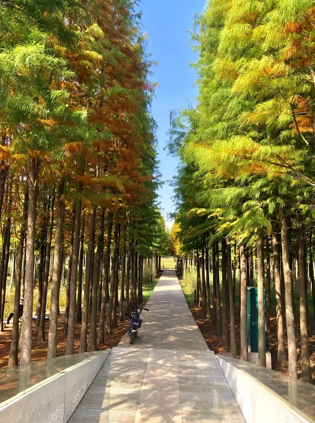 秋色斑斓美如画