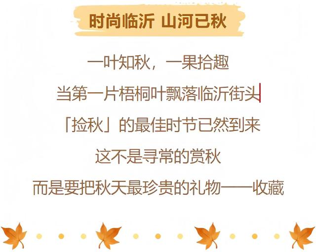 临沂秋日捡秋啦 | 把秋天，装进你的时间胶囊~