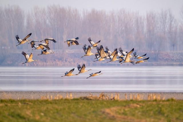 孝感的秋天很短，但这些美好很长｜秋日治愈这6个理由让我去了3次