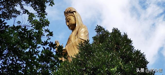 我的父亲：无意间听到表扬我的大孙子