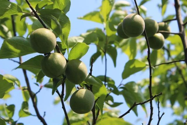 我说白了，萧山你是不是有点过分了！
