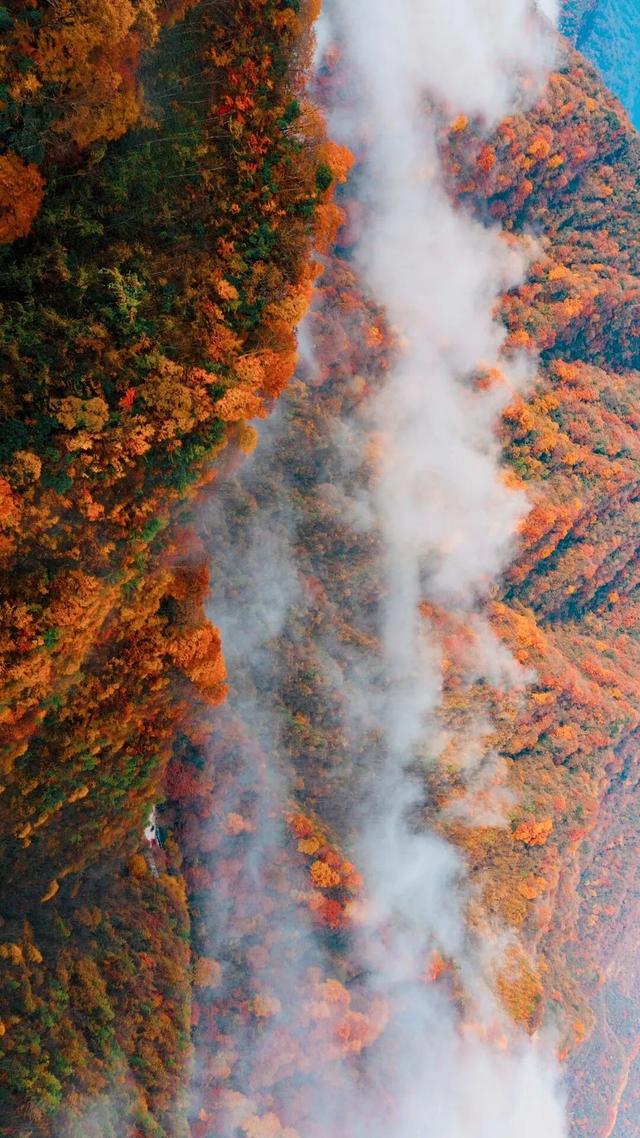 11月旅行地推荐！这13个赏秋地无对手，还藏着国内四大绝美秋色