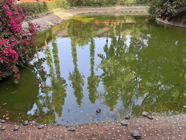 三进文殊院