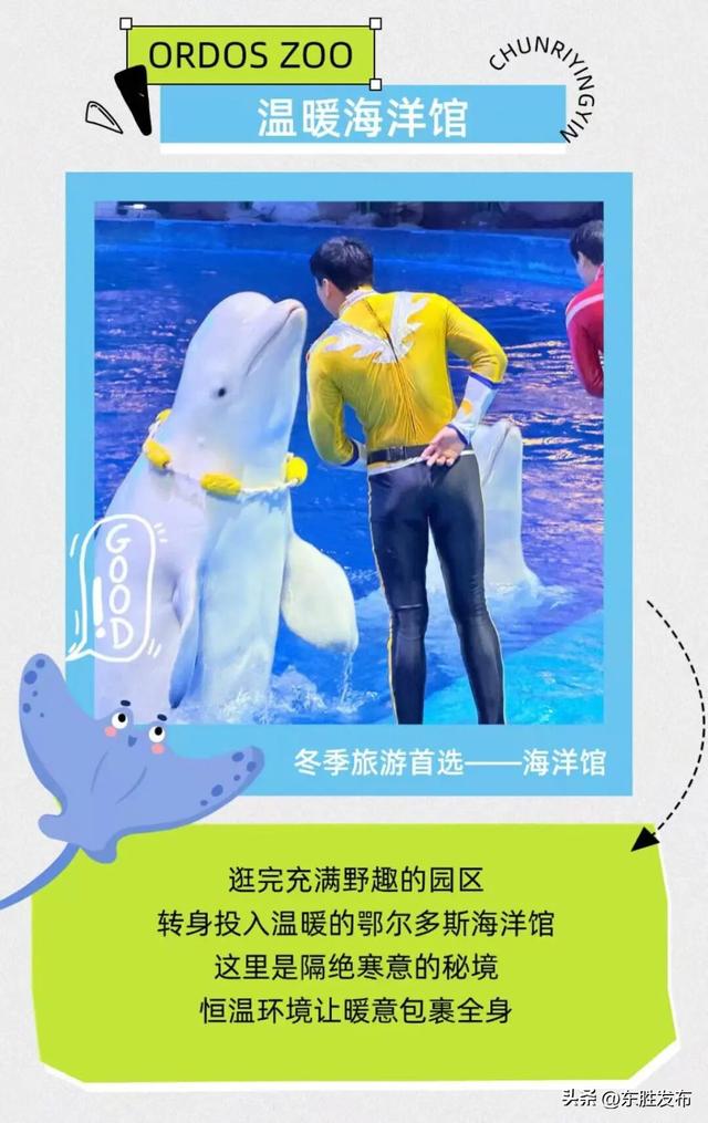 速来！半价特惠！