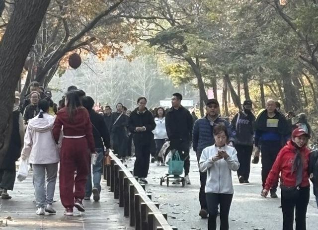 人潮涌动！鞍山人畅游千山热度高