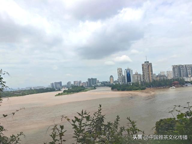 嘉州之秋：大佛与三江的秋日交响
