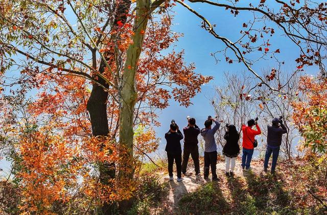 一键收藏!明光南部2025年秋景大赏