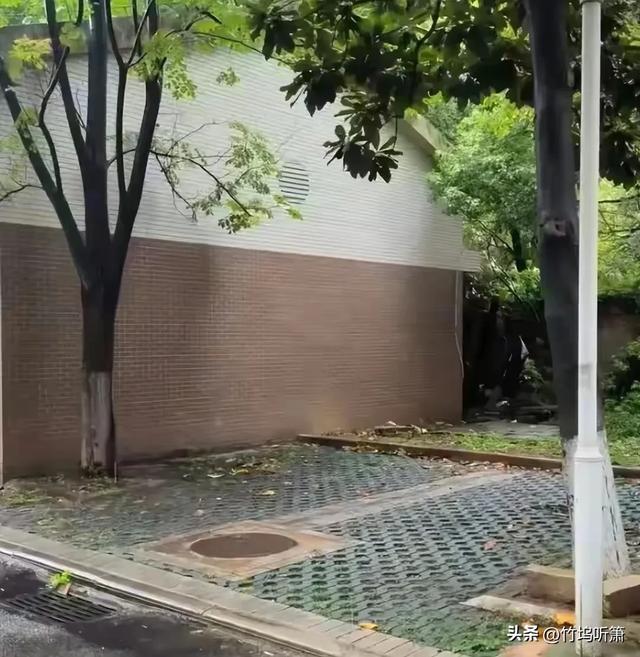 47秒夺命地下车库：副教授之死，谁来为这个“黑洞”买单？