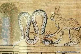 中世纪虐猫狂欢史：甚至用这些奇葩的仪式，来进行虐待图片