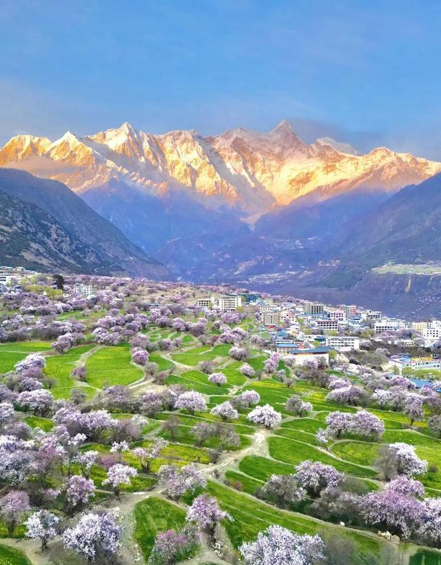 不是婺源，比婺源还美十倍！4000亩桃花美过日本，居然还能遛娃！