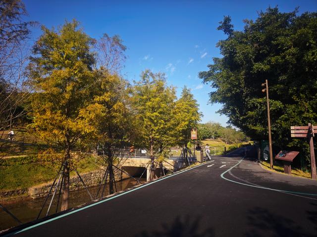 从丽康路穿荔园溪谷至西丽湖绿道骑行随拍