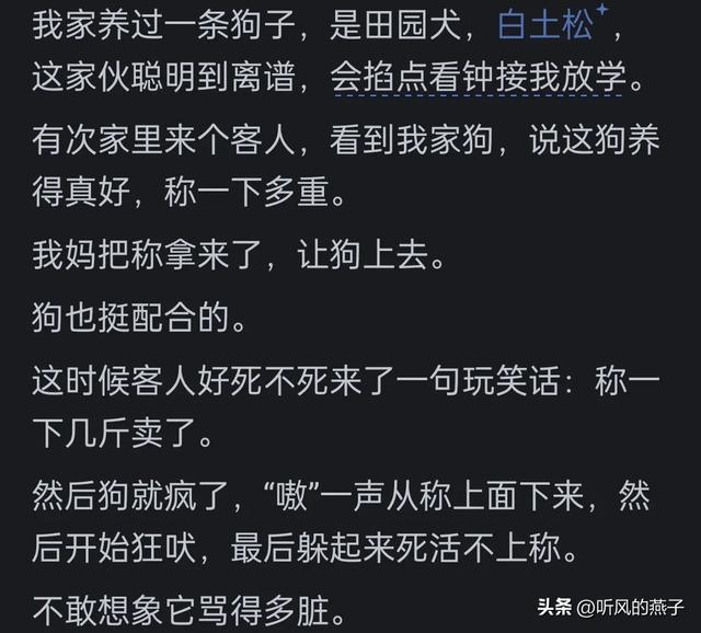 你是否有过把宠物逼的差点说话的时候？网友们的分享，惊呆了