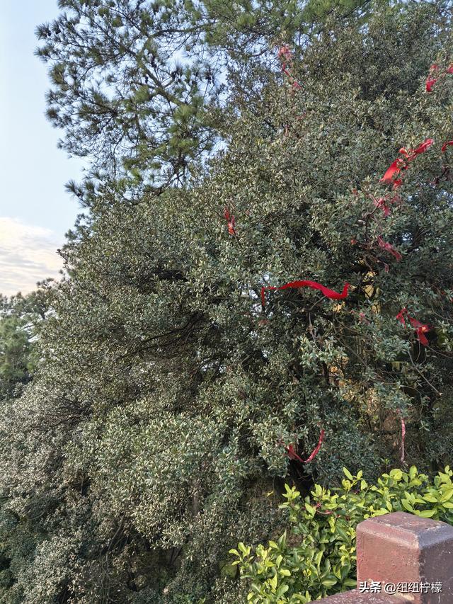 户外徒步之挑战缙云九峰，从健身梯道到狮子峰，走了四小时