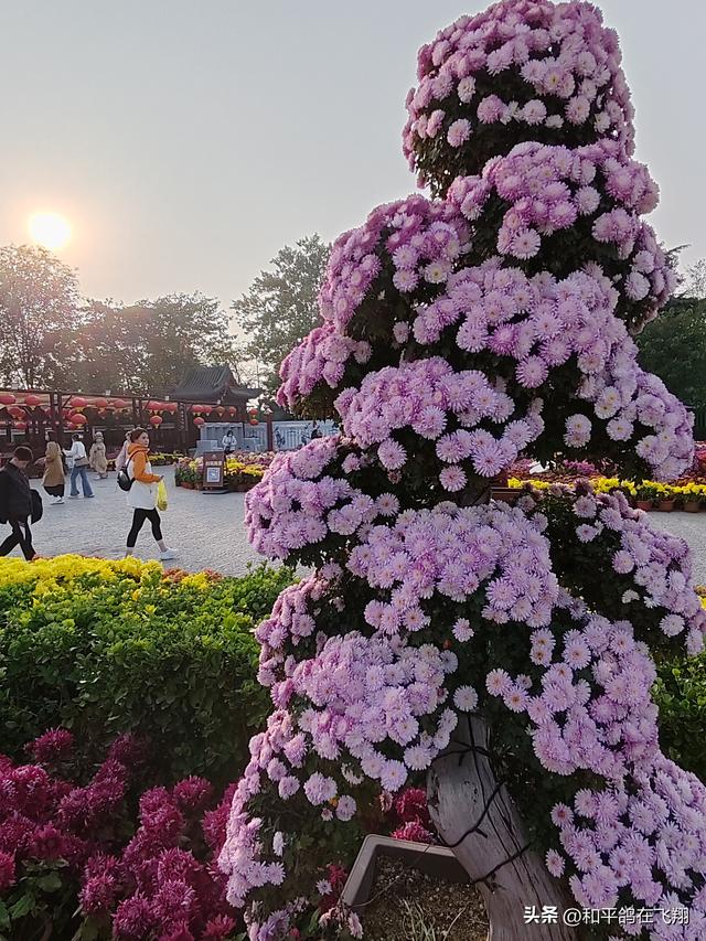 开封万岁山武侠城之约