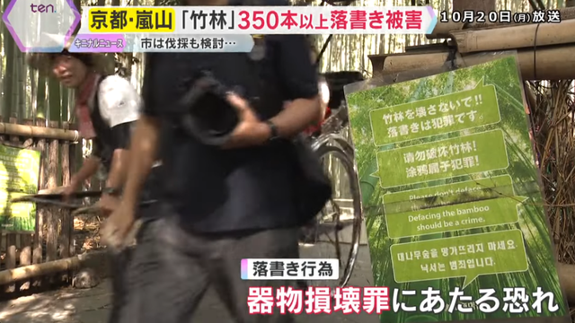 日本网红打卡地快被外国游客 “霍霍” 没了？京都岚山被逼砍竹林！