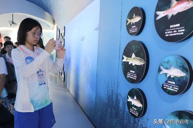 他们去了贵港这些地方→