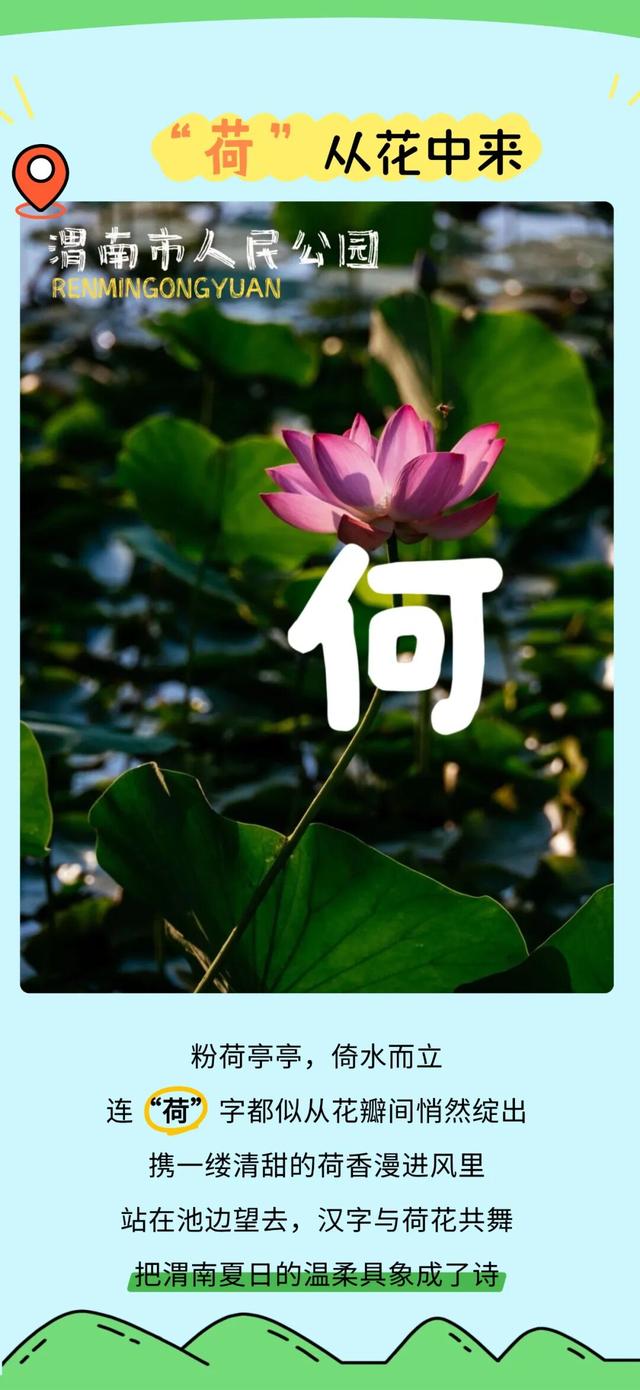 我的天！渭南的“野生”汉字长这样？